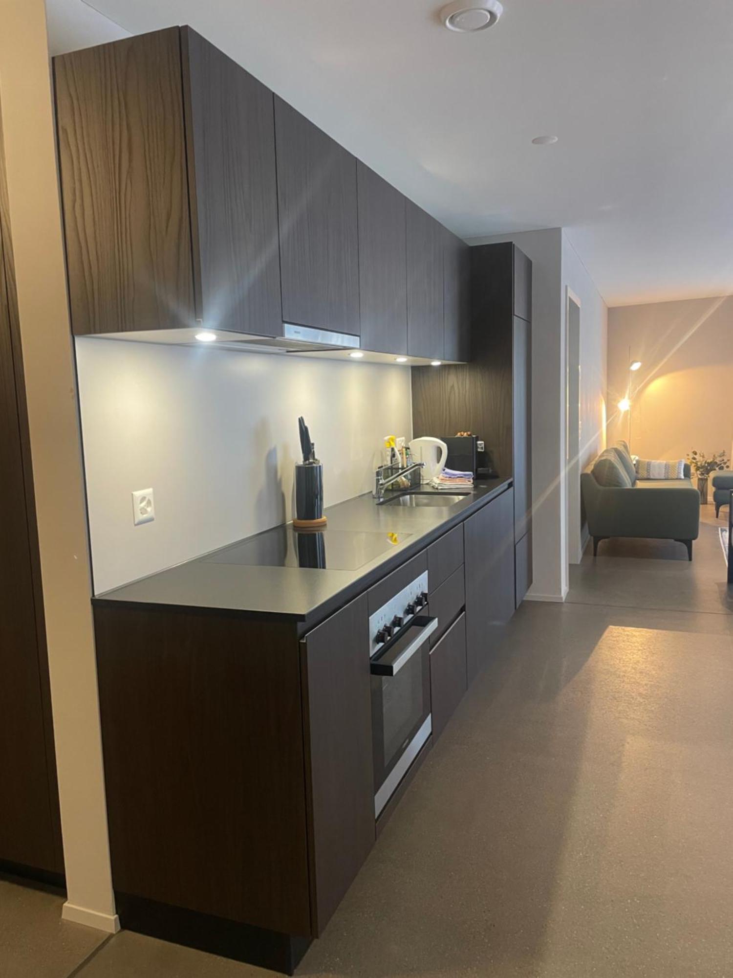 Modern City Apartments Інтерлакен Екстер'єр фото